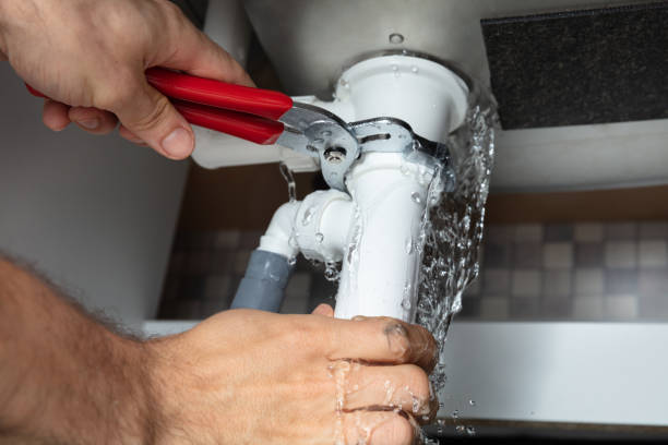 Best Local water damage restoration  in Carver, MN