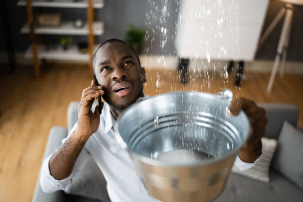 Best Flooded house restoration  in Carver, MN