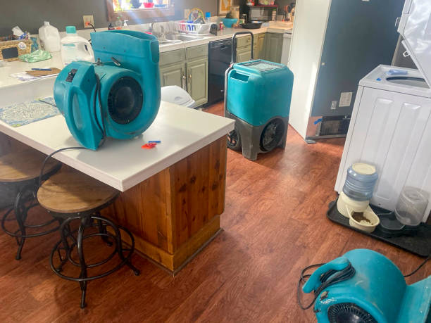 Best Commercial water damage restoration  in Carver, MN