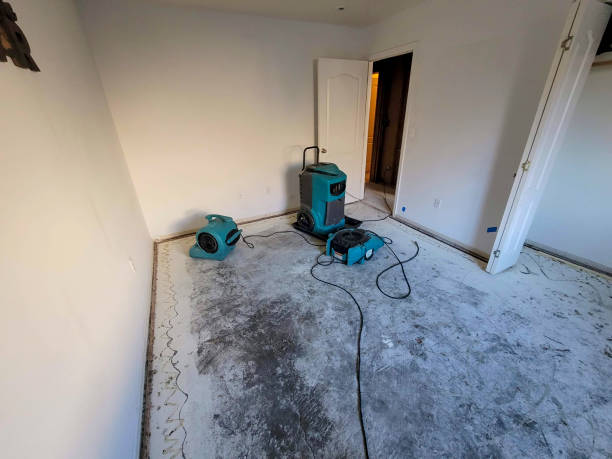 Best Water damage cleanup near me  in Carver, MN