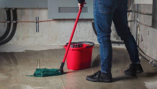Reliable Carver, MN Water damage restoration Solutions