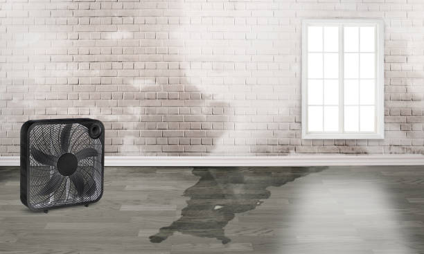 Best 24-hour water damage restoration  in Carver, MN