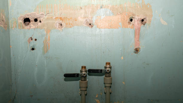 Best Emergency water damage restoration  in Carver, MN