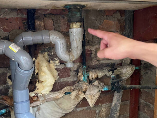 Best Ceiling water damage repair  in Carver, MN