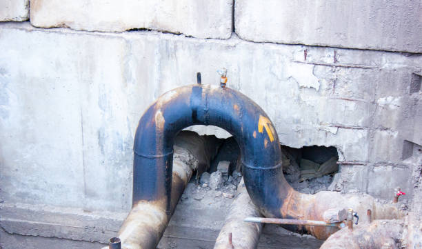 Best Sewage cleanup and water damage restoration  in Carver, MN