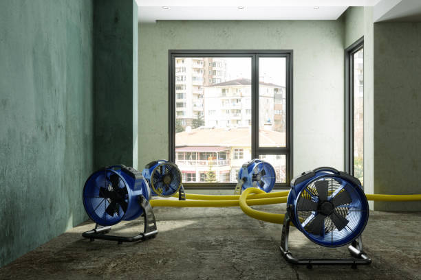 Best Water damage restoration cost  in Carver, MN