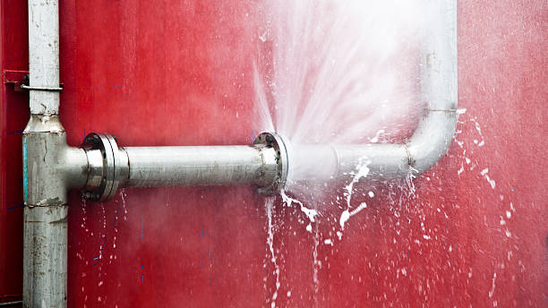 Best Fire Damage Restoration  in Carver, MN